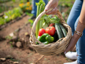 Why You Should Incorporate Organic Foods